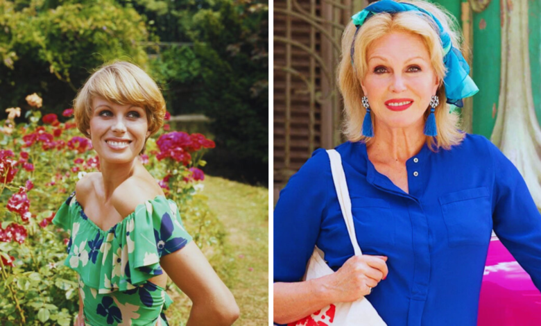 Joanna Lumley Net Worth