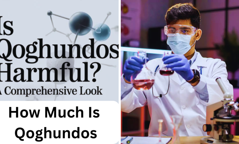 How Much Is Qoghundos