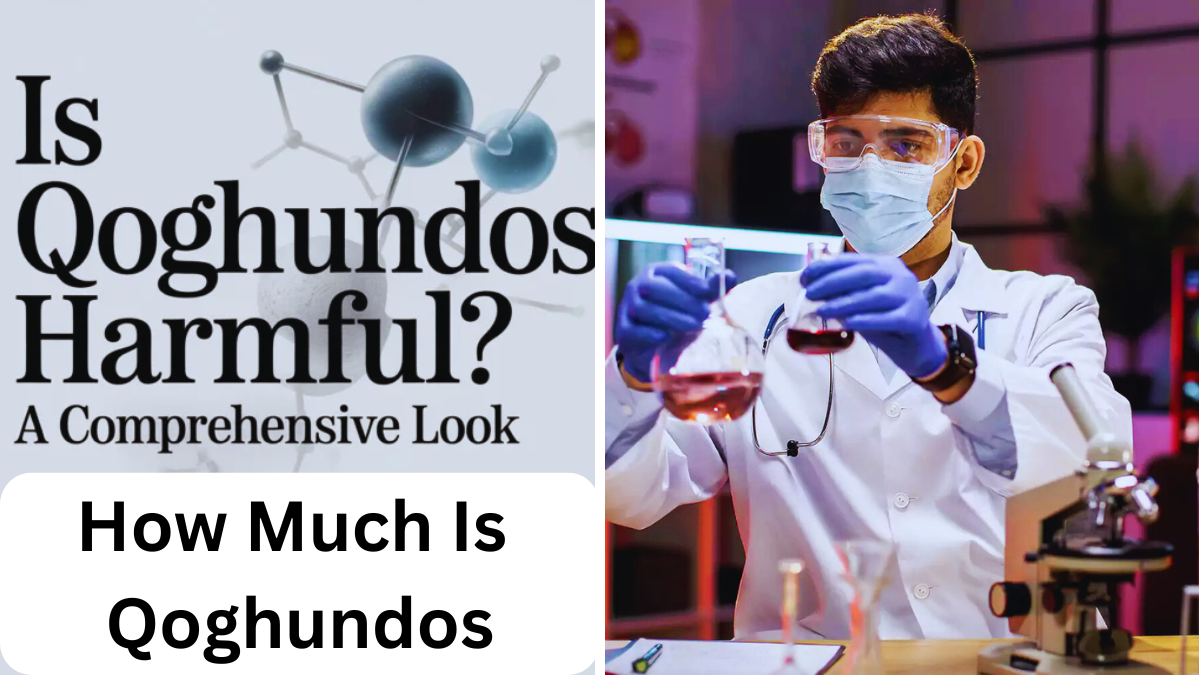 How Much Is Qoghundos