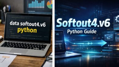 Data Softout4.v6 Python