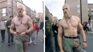 Techno Viking