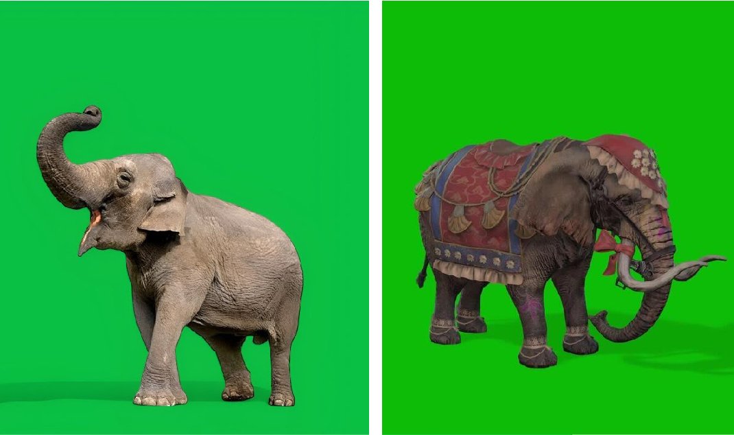 elephant green screen effect