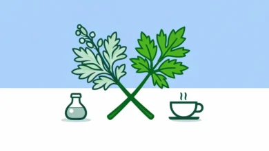 Wormwood vs Mugwort
