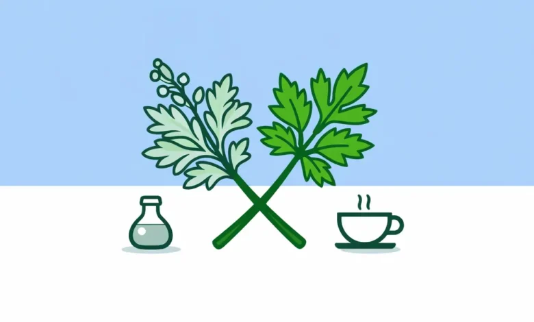 Wormwood vs Mugwort