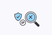 Proxy Scanner Online